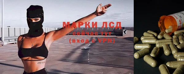 мдпв Магас
