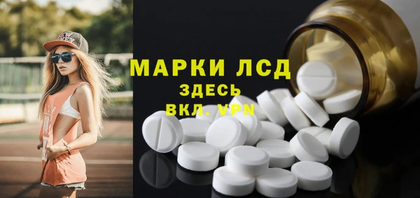 мдпв Магас