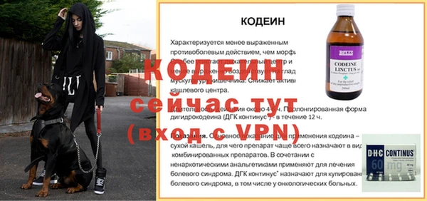 эйфоретик Майский