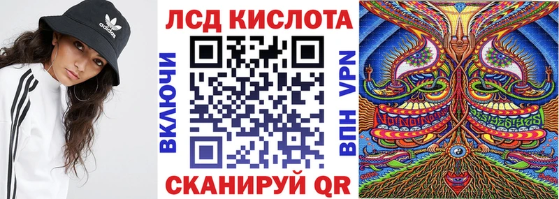 дарнет шоп  Шахунья  Наркотические марки 1500мкг 