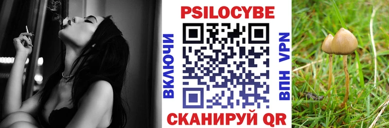 это клад  мега зеркало  Шахунья  Галлюциногенные грибы мухоморы 