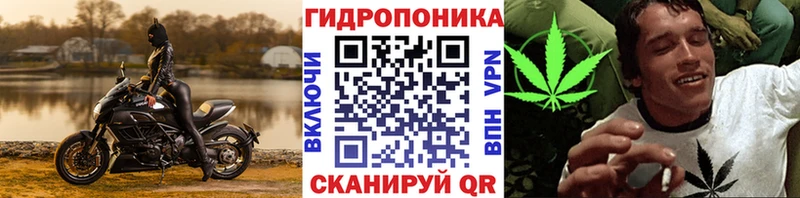 как найти закладки  Шахунья  МАРИХУАНА ГИДРОПОН 